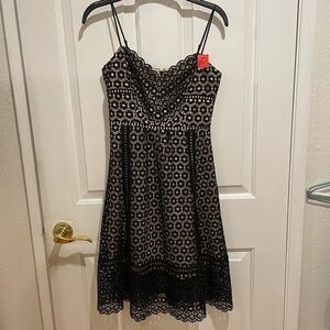 J. Crew Black and Cream Lace Midi Dress